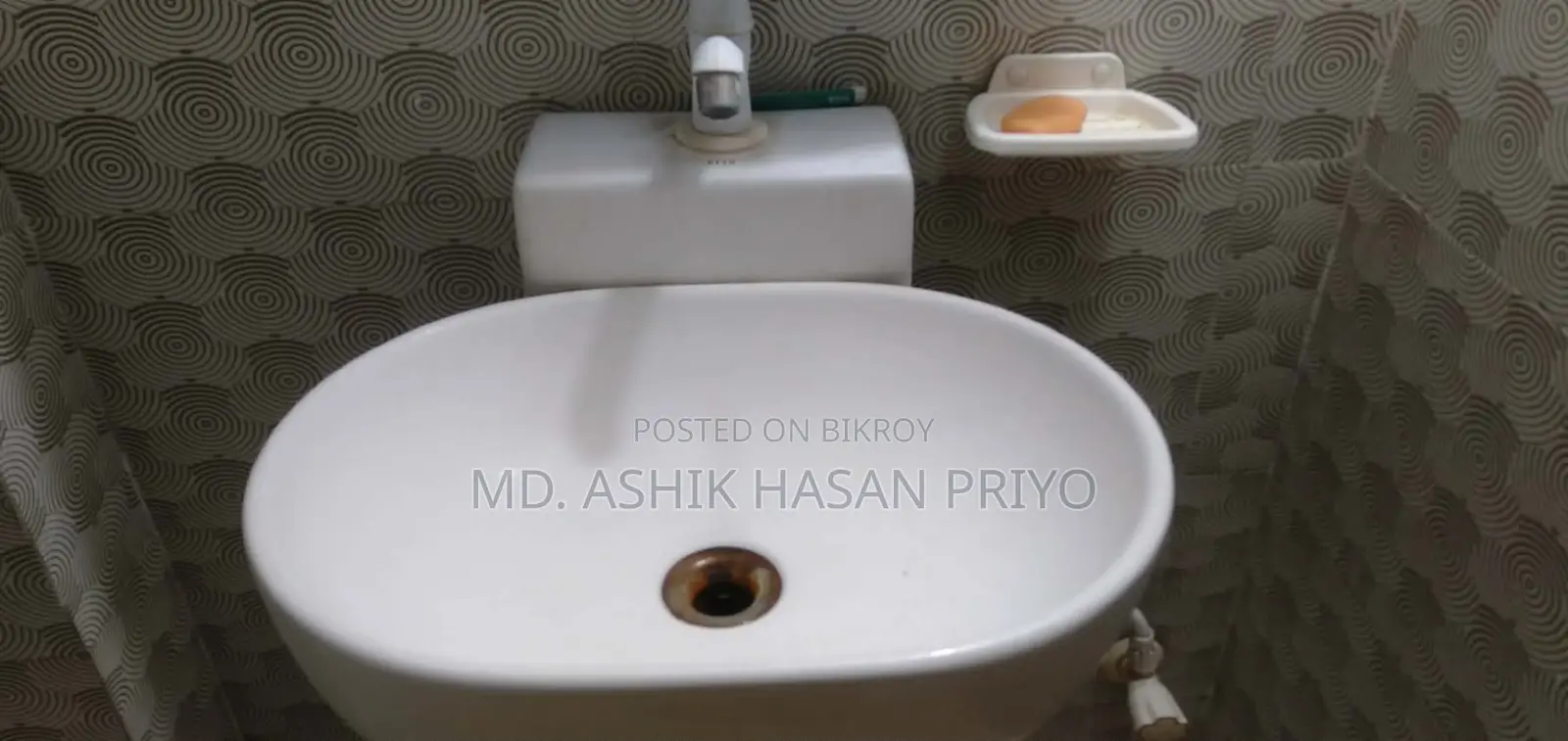 Toilet Basin