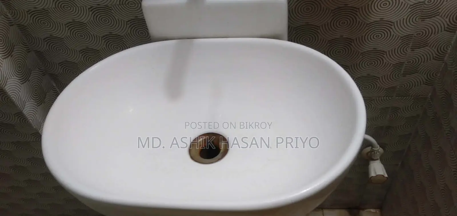 Toilet Basin