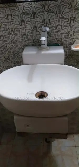 Toilet Basin