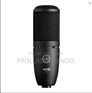 Akg P120 Microphone
