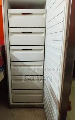একটি ফুল ৬ পার্টির ডিপ ফ্রিজ