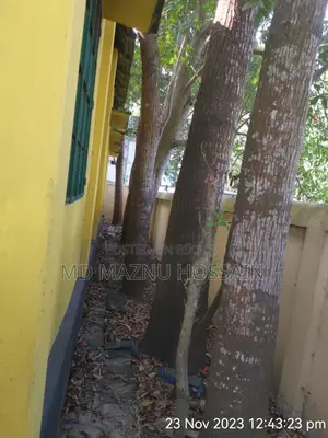 Furnished 3bdrm House in Elenga, Tangail Sadar for Sale