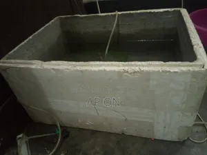Cement tank for breeding Guppy fish