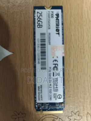 Patriot P300 256gb Nvme SSD- Health Performance 100%