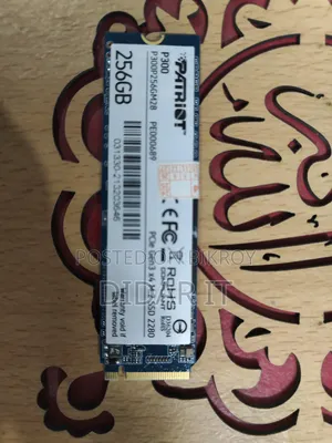 Patriot P300 256gb Nvme SSD- Health Performance 100%