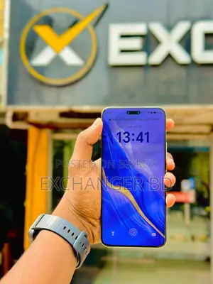 Honor Magic6 Pro 512 GB Blue