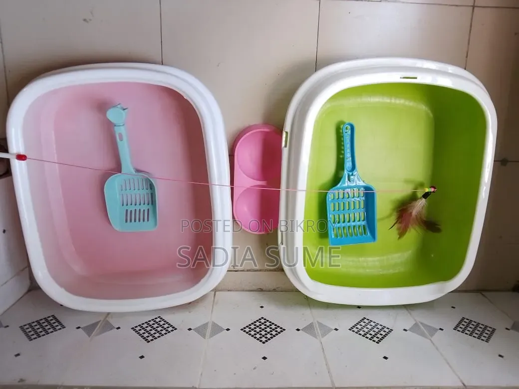 Used cat supplies