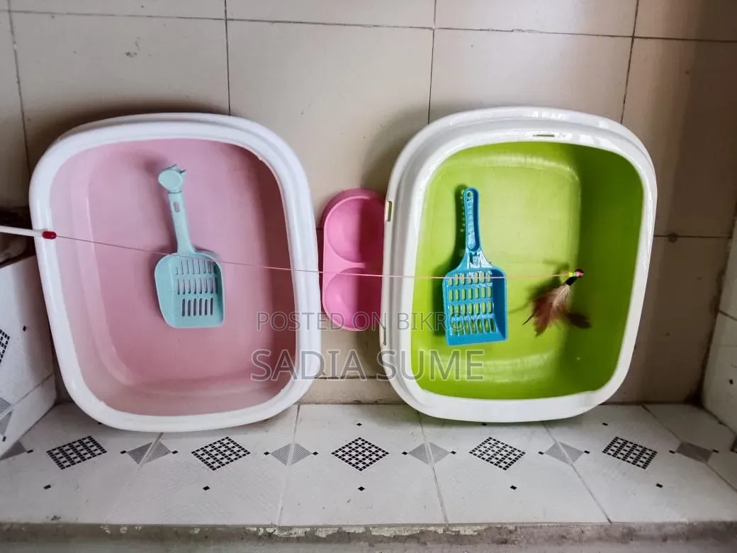 Used cat supplies