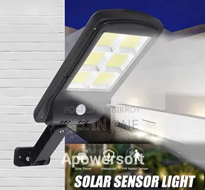 Solar Induction Street Lamp