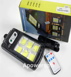 Solar Induction Street Lamp