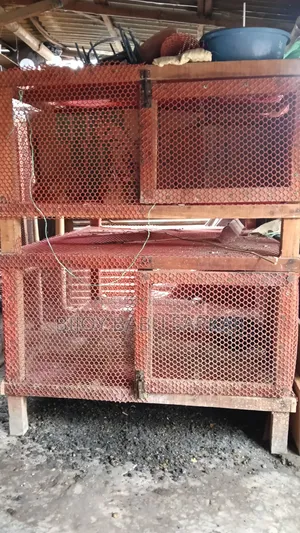 মুরগির খাঁচা
