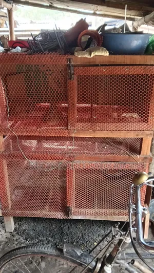 মুরগির খাঁচা