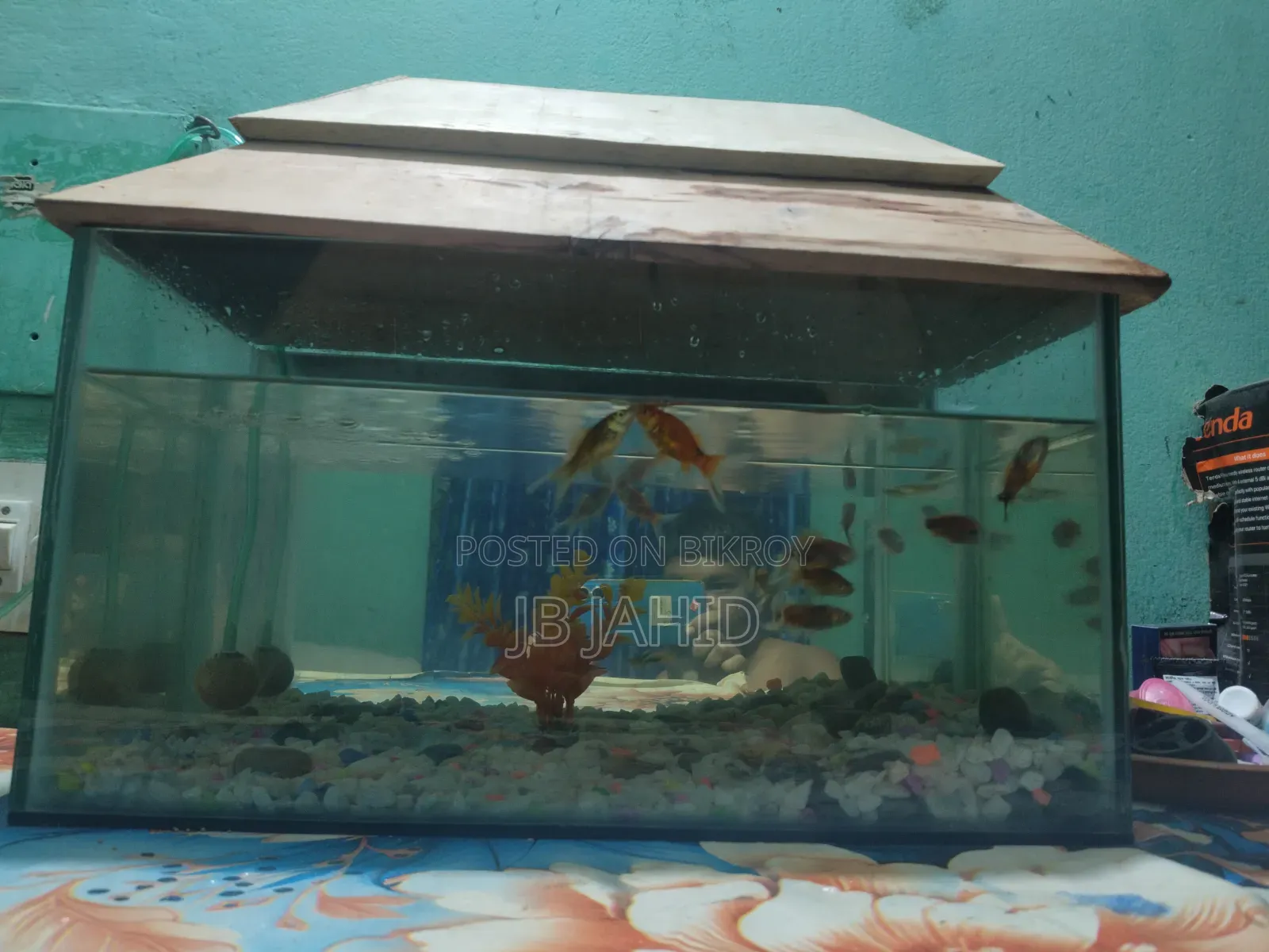 একুরিয়াম,মাছ এবং অক্সিজেন সহ
