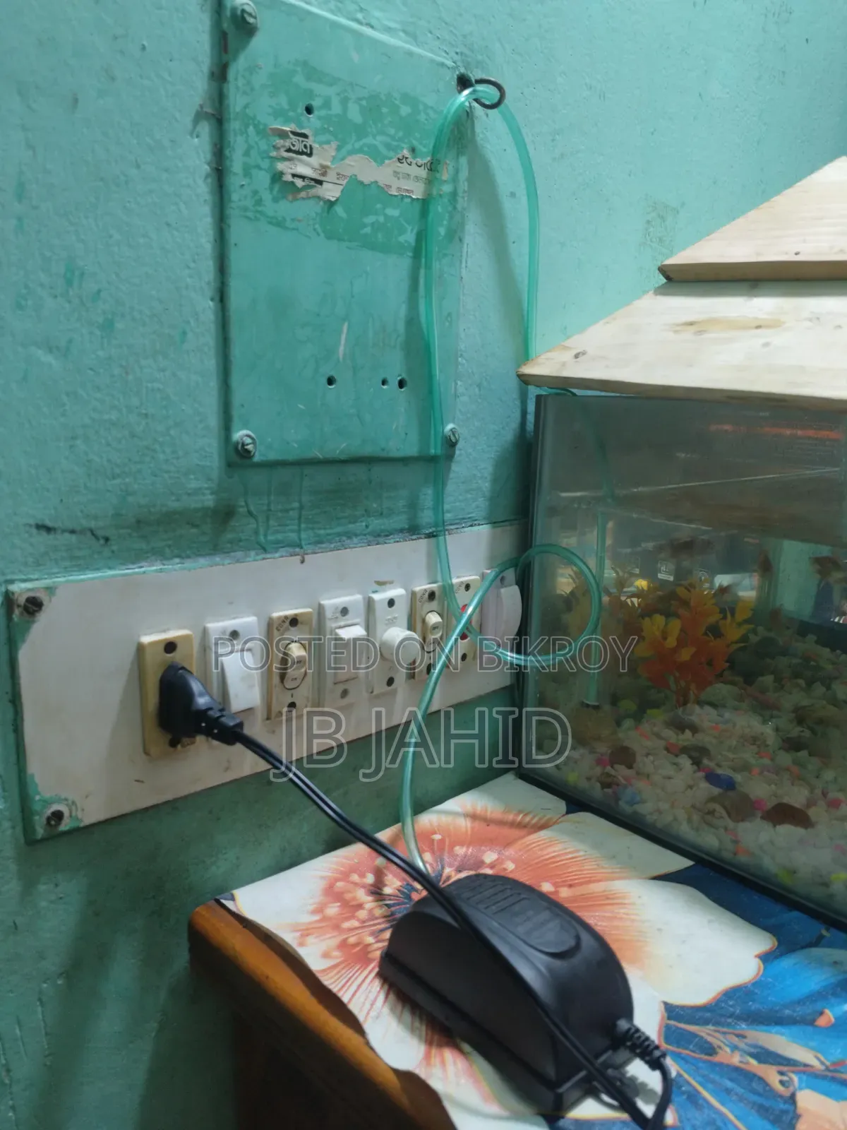 একুরিয়াম,মাছ এবং অক্সিজেন সহ