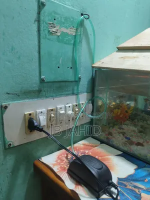 একুরিয়াম,মাছ এবং অক্সিজেন সহ
