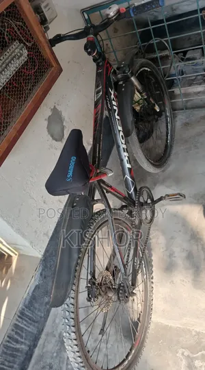 Phoenix Cycle