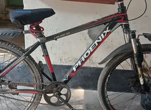Phoenix Cycle