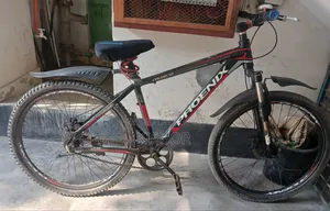 Phoenix Cycle