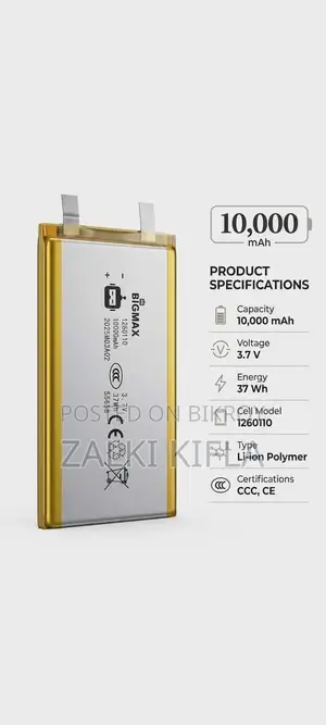 Original Bigmax (10,000mAh) Lithium Polymer Battery!