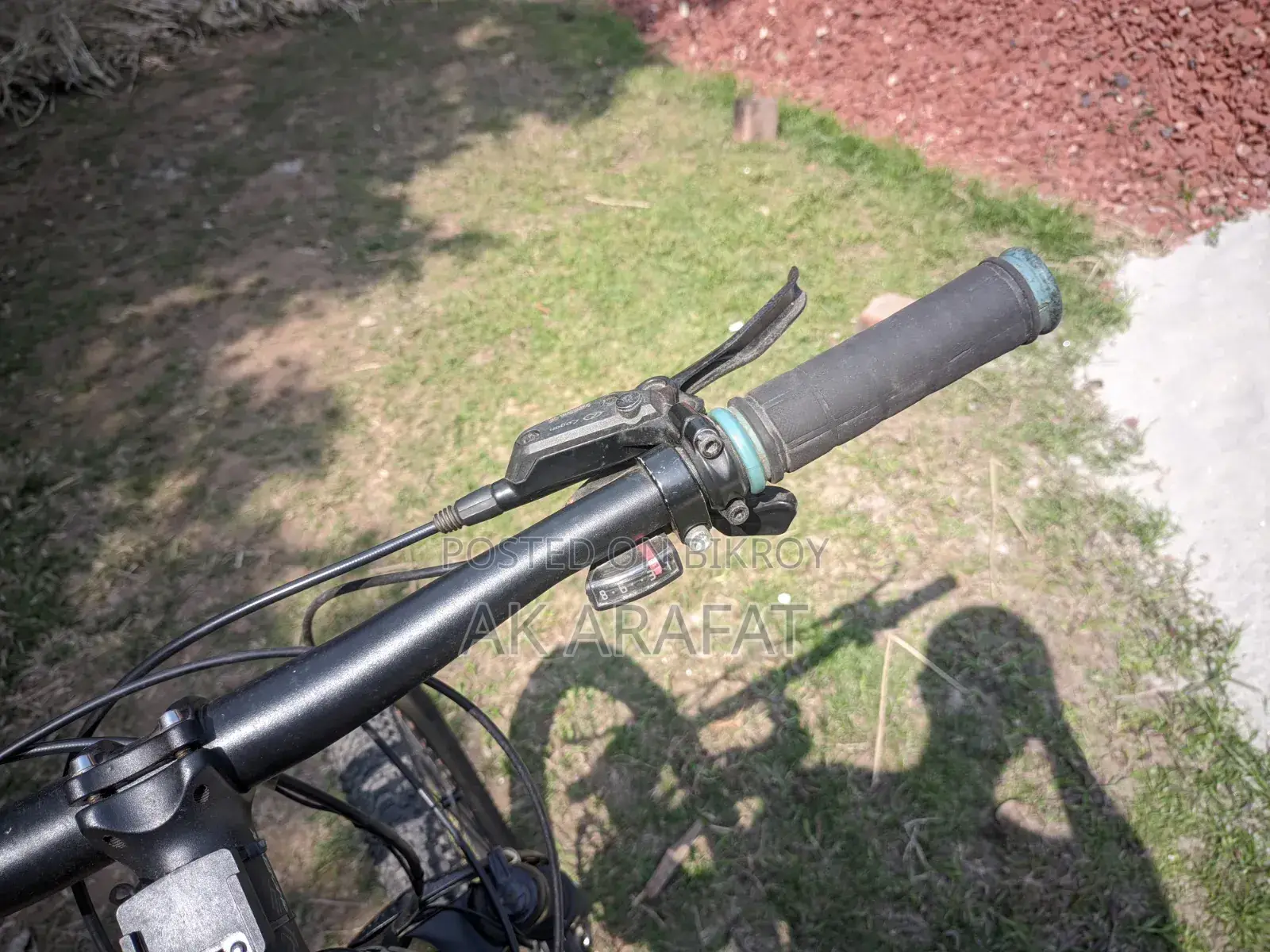 Oil Brake Bicycle for Sale