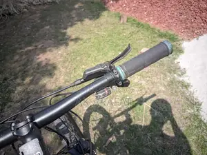 Oil Brake Bicycle for Sale