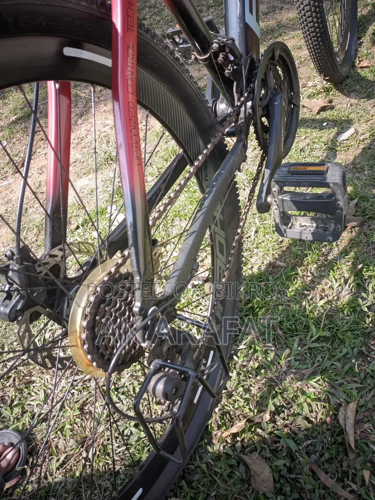 Oil Brake Bicycle for Sale