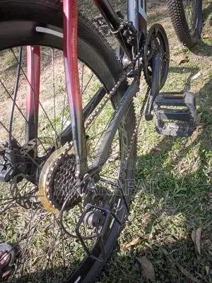 Oil Brake Bicycle for Sale