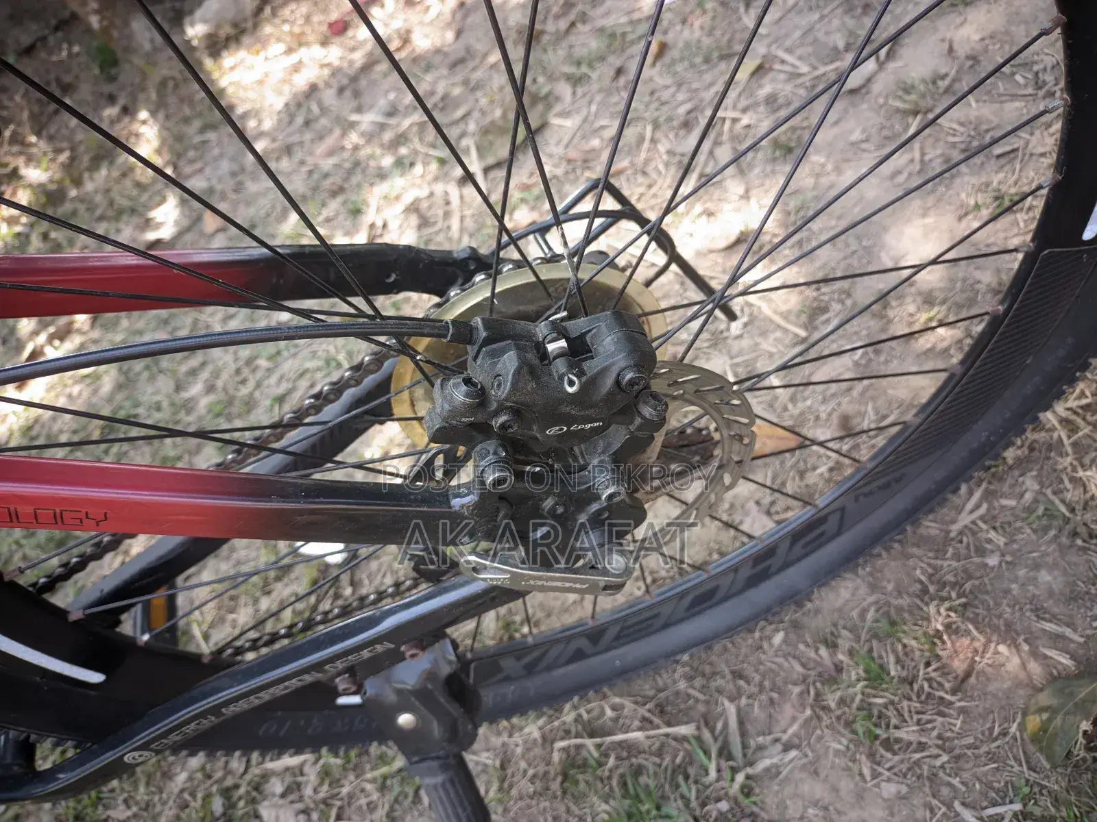 Oil Brake Bicycle for Sale