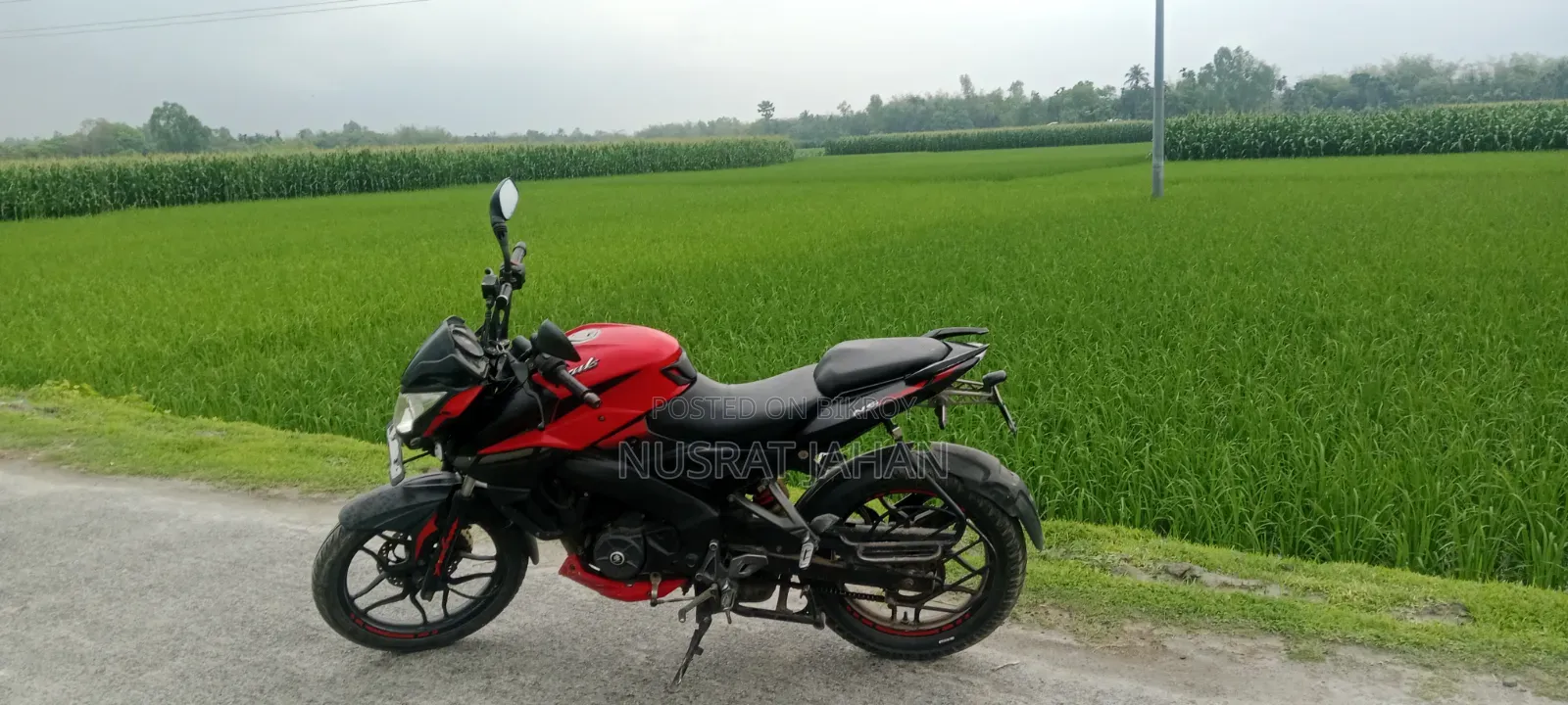 Bajaj Pulsar NS 160 2018 Red