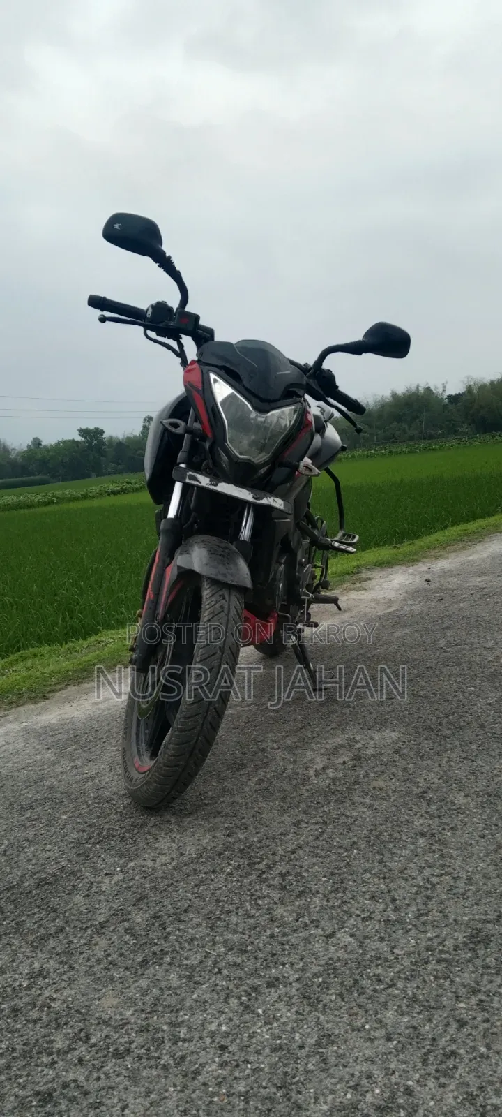 Bajaj Pulsar NS 160 2018 Red