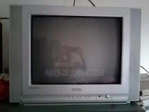 Singer 21 TV