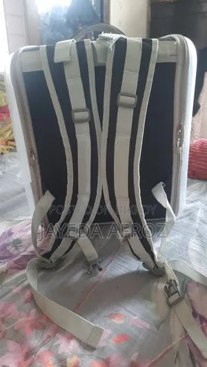 বিড়ালের ব্যাগ