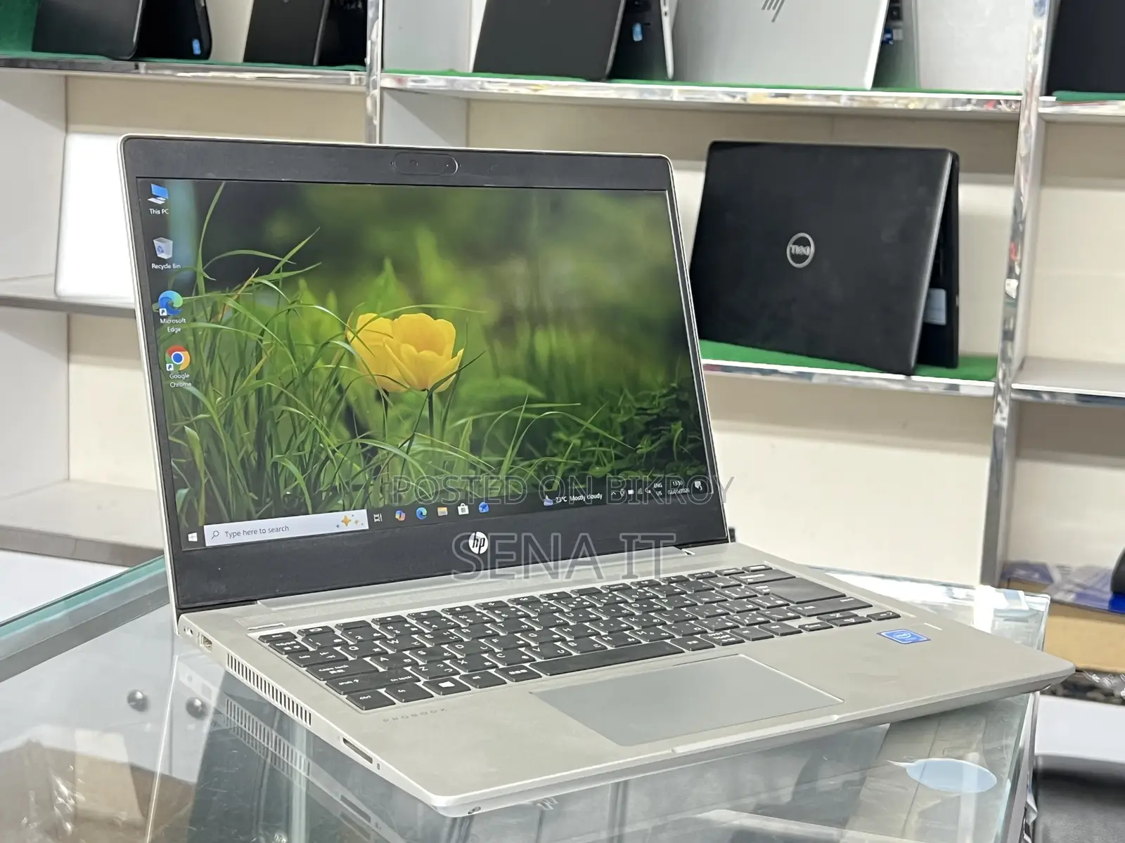 Laptop HP 8GB Intel Celeron SSD 128GB