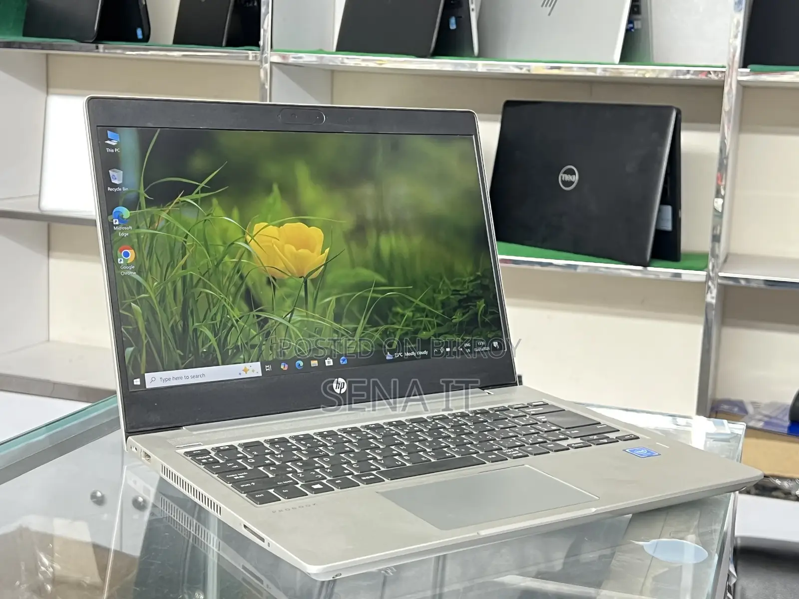 Laptop HP 8GB Intel Celeron SSD 128GB