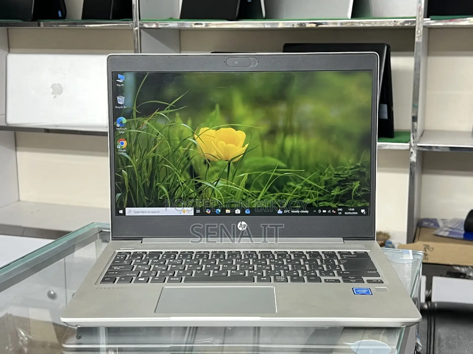 Laptop HP 8GB Intel Celeron SSD 128GB