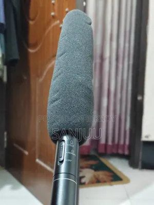Panasonic Microphone