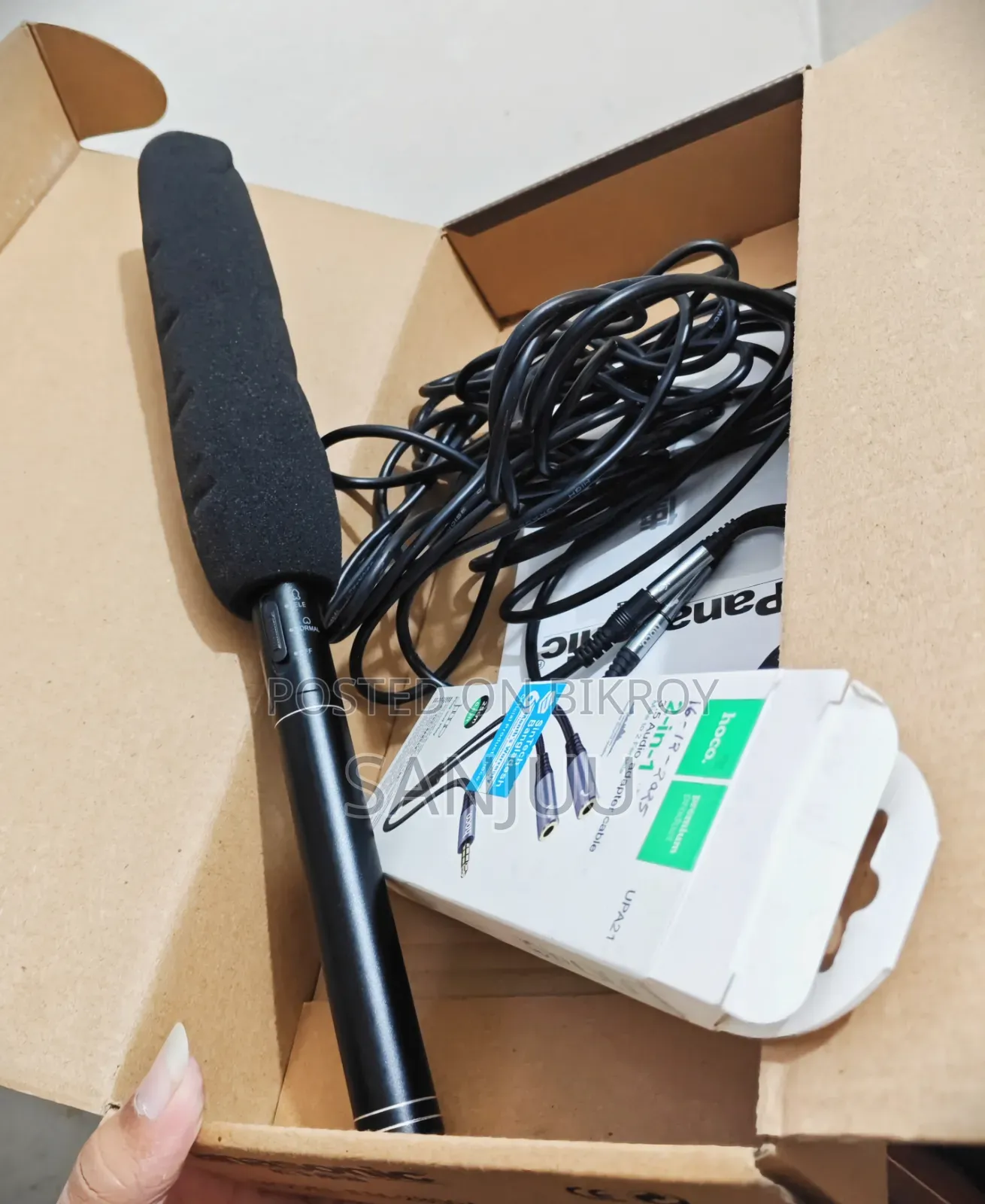 Panasonic Microphone