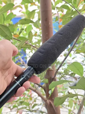 Panasonic Microphone