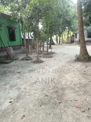 নতুন সুজুকি ২০২৫ কালো