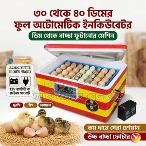 Auto Incubator