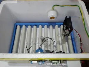 Auto Incubator