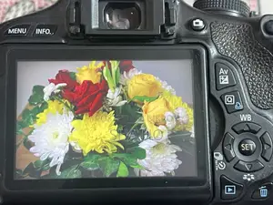 Canon 600d