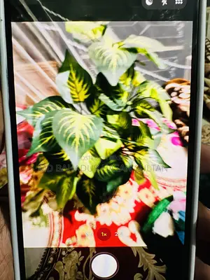 Apple iPhone 12 Pro Max 128 GB Rose Gold