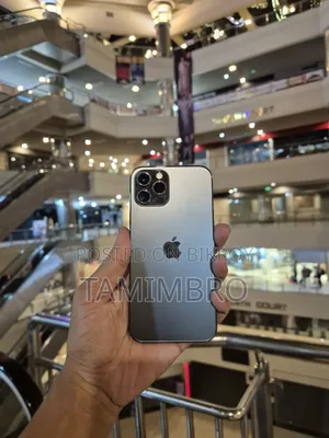Apple iPhone 12 Pro 256 GB Gray