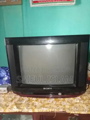Television
