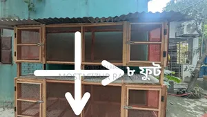 খাচা সেল করা হবে