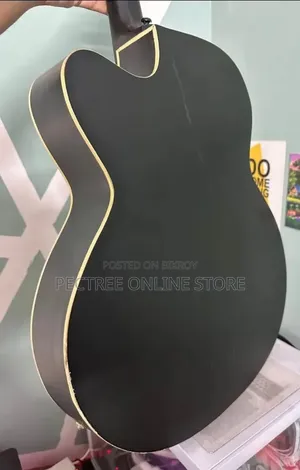 Fixed Price Guitar Topaz 265