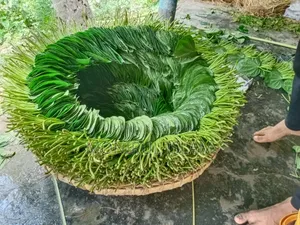 পান বিক্রি করা হবে