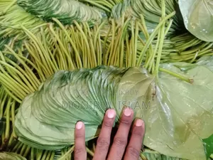 পান বিক্রি করা হবে