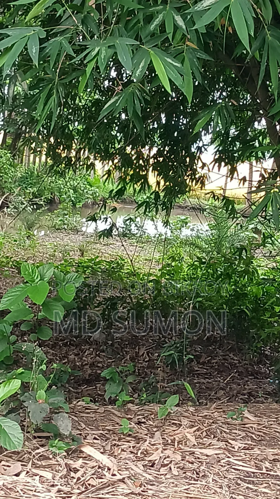 8 Shotok Land, Right Next to the Main Road